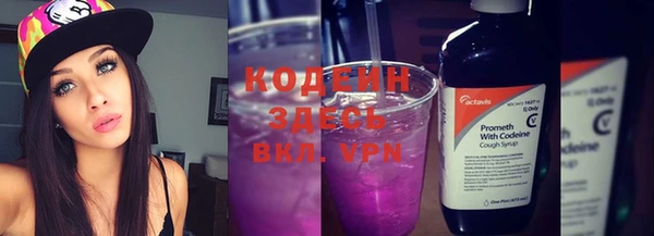 индика Снежинск