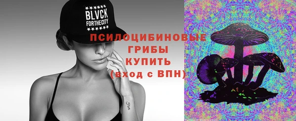 дмт Снежногорск