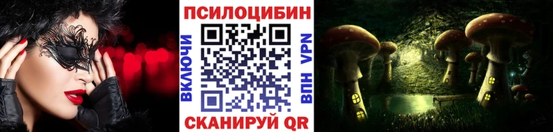 Псилоцибиновые грибы GOLDEN TEACHER  купить наркотик  ссылка на мегу ССЫЛКА  Верея 